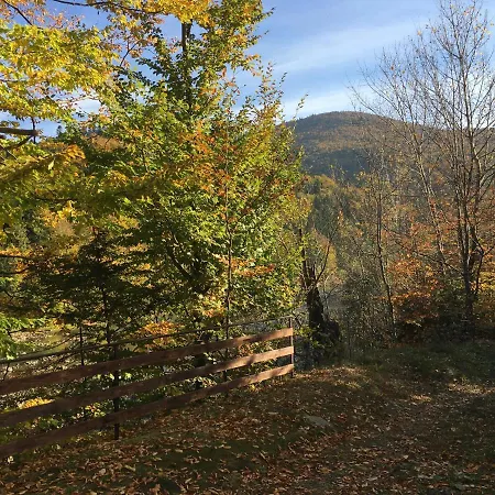 Hotel Mini-hotel Serpanok Mykulychyn