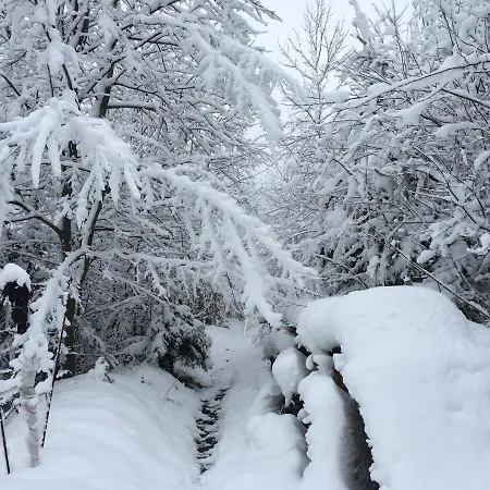 Mini-hotel Serpanok *