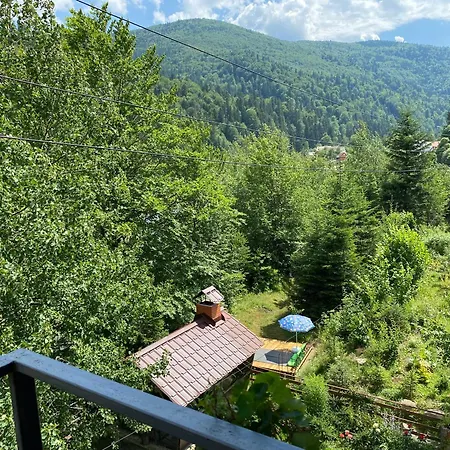 Mini-hotel Serpanok * Mykulychyn