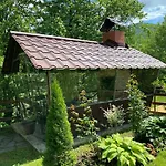Mini-hotel Serpanok * Микуличин